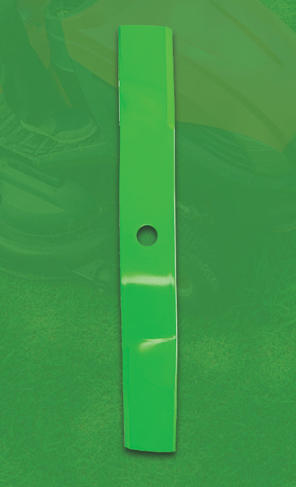 Left Image